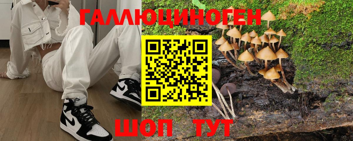 Галлюциногенные грибы ЛСД Дятьково