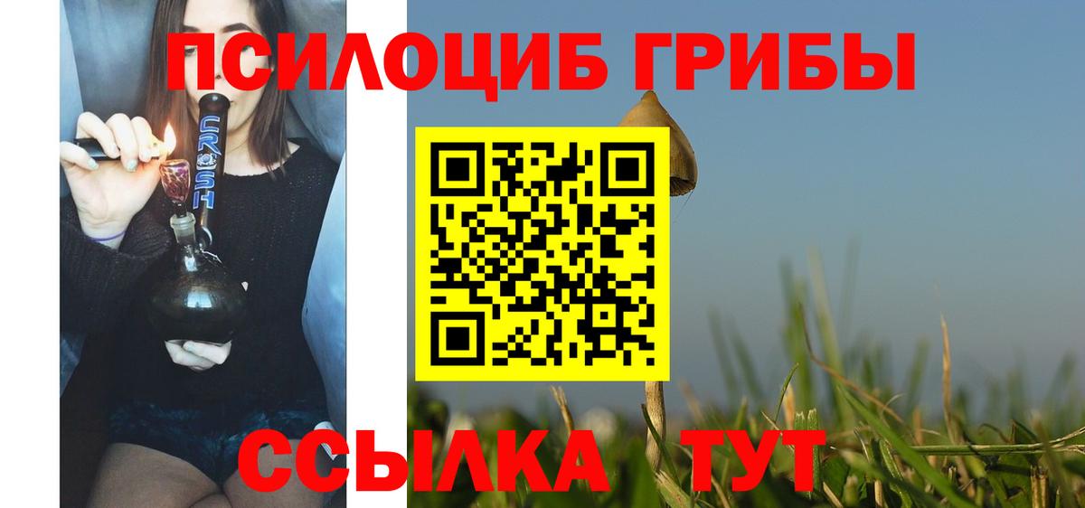 Дятьково  Псилоцибиновые грибы мицелий  Вход с VPN  Псилоцибиновые грибы MAGIC MUSHROOMS 